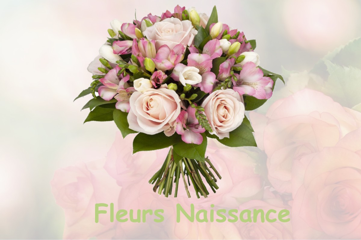 fleurs naissance ROISSARD