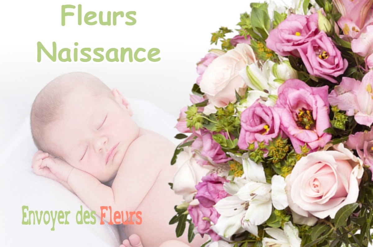 lIVRAISON FLEURS NAISSANCE à ROISSARD